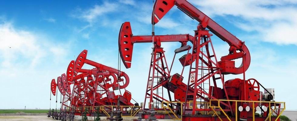 De Vervangstukken van de modderpomp