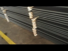 API 11B Graad D Olieveld Sucker Rods 2ft 3ft 4ft 5ft 6ft Pony Rod