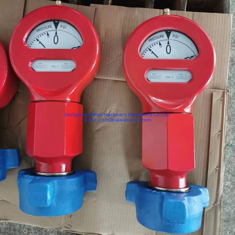 Type D Model 7 modderpompdrukmeter 2"LPT Fig.1502 Mannelijke aansluiting 0-6000 psi
